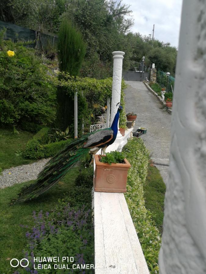 Villa Anna Torria Dış mekan fotoğraf