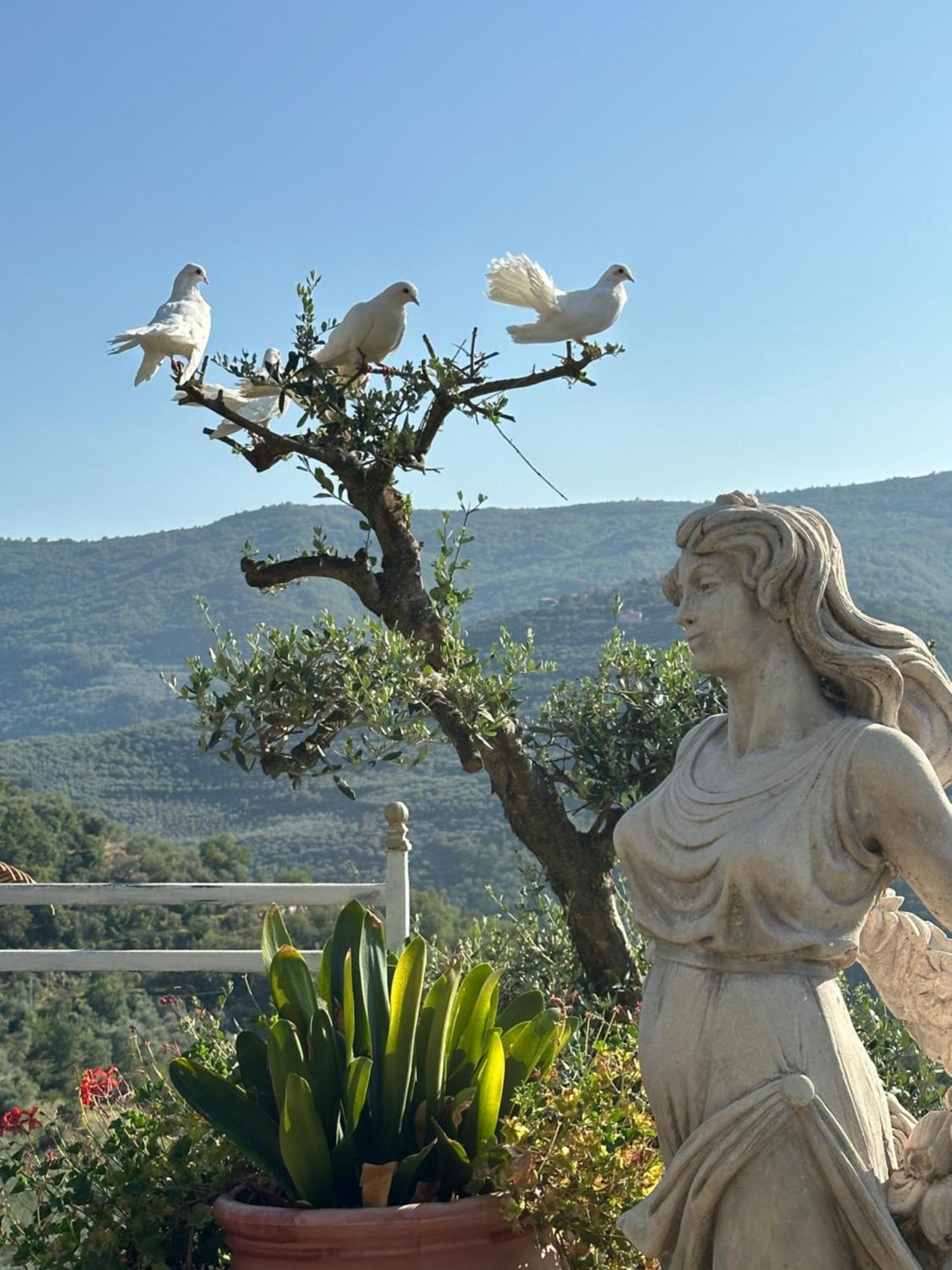 Villa Anna Torria Dış mekan fotoğraf
