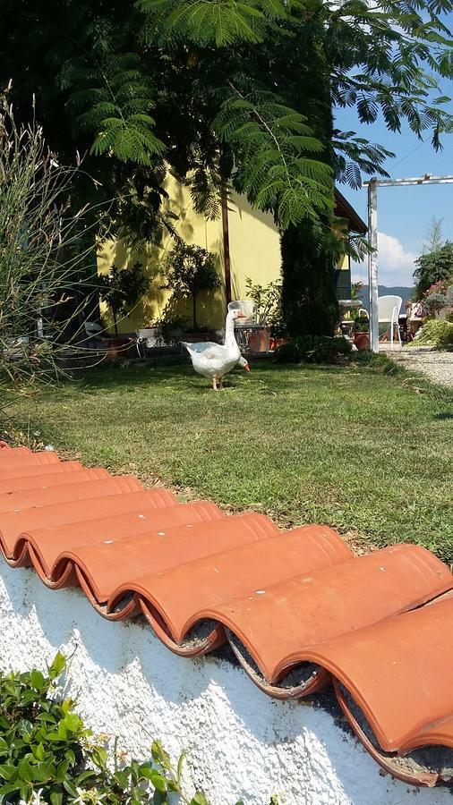 Villa Anna Torria Dış mekan fotoğraf