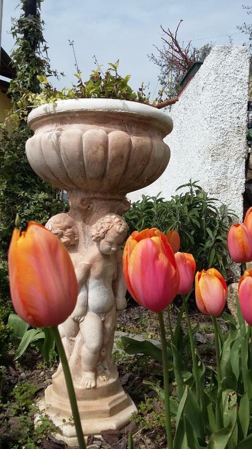 Villa Anna Torria Dış mekan fotoğraf